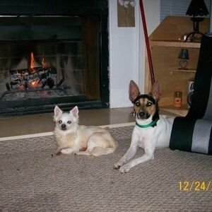 Meet your Posher, Deborah